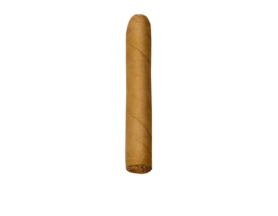 JA Jacob van Meer Mini Robusto