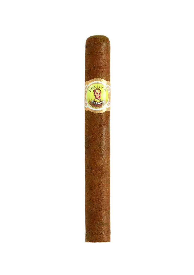 Bolivar - Petit Corona